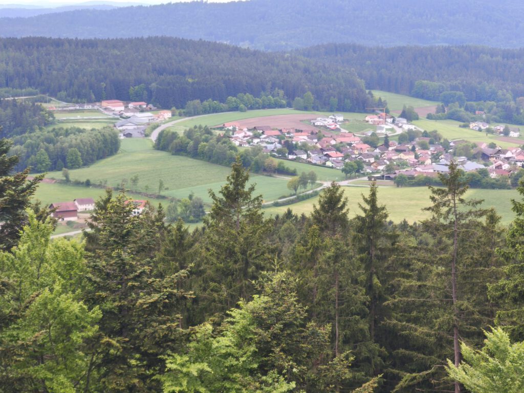 Ausblick von der Burgruine Lichtenegg